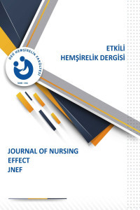 Etkili Hemşirelik Dergisi-Cover