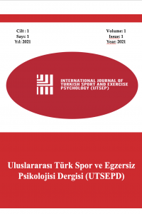 Uluslararası Türk Spor ve Egzersiz Psikolojisi Dergisi-Cover