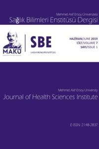 Mehmet Akif Ersoy Üniversitesi Sağlık Bilimleri Enstitüsü Dergisi-Cover