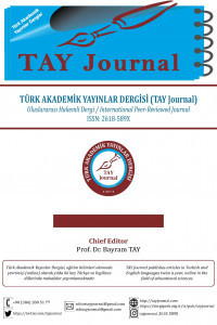 Türk Akademik Yayınlar Dergisi (TAY Journal)-Cover