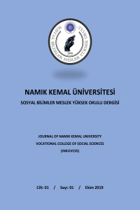 Namık Kemal Üniversitesi Sosyal Bilimler Meslek Yüksek Okulu Dergisi-Cover