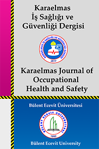 Karaelmas İş Sağlığı ve Güvenliği Dergisi-Cover