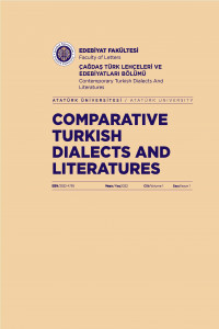 Comparative Turkish Dialects and Literatures-Cover