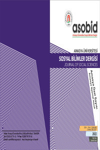 Amasya Üniversitesi Sosyal Bilimler Dergisi-Cover
