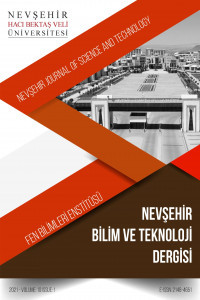 Nevşehir Bilim ve Teknoloji Dergisi-Cover