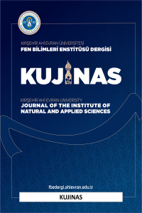 Kırşehir Ahi Evran Üniversitesi Fen Bilimleri Enstitüsü Dergisi-Cover