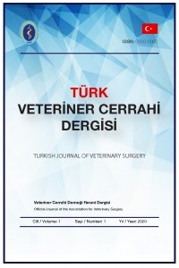 Türk Veteriner Cerrahi Dergisi-Cover