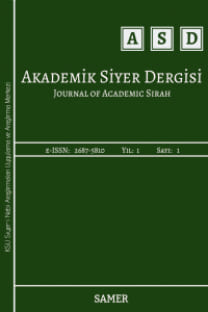 Akademik Siyer Dergisi-Cover