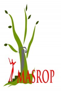 MASROP E-Dergi-Cover