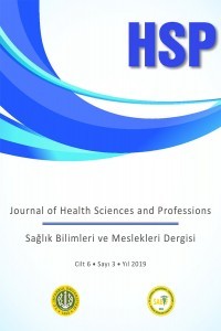 Sağlık Bilimleri ve Meslekleri Dergisi-Cover