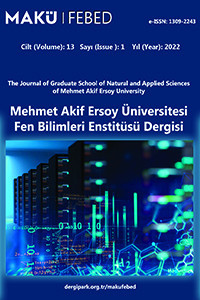 Mehmet Akif Ersoy Üniversitesi Fen Bilimleri Enstitüsü Dergisi-Cover