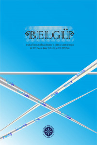 Belgü-Cover