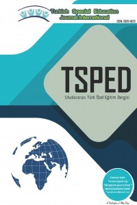 Turkish Special Education Journal: International-Cover