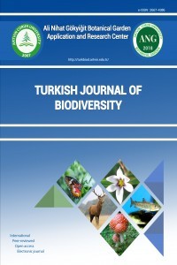 Turkish Journal of Biodiversity-Cover