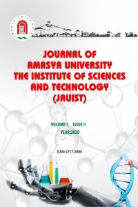 Journal of Amasya University the Institute of Sciences and Technology-Cover