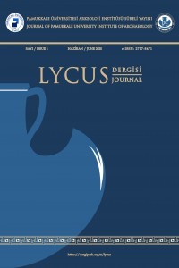 Lycus Dergisi-Cover