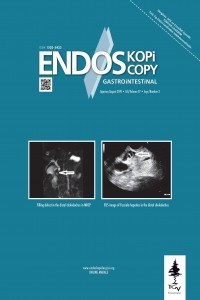 Endoskopi Gastrointestinal-Cover