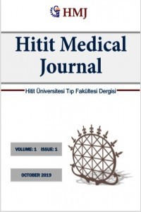 Hitit Medical Journal-Cover