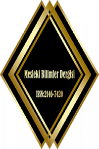Mesleki Bilimler Dergisi (MBD)-Cover