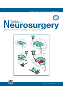 Turkish Neurosurgery-Cover