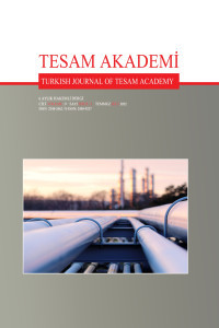 TESAM Akademi Dergisi-Cover