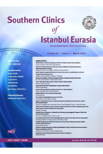 Southern Clinics of Istanbul Eurasia-Cover