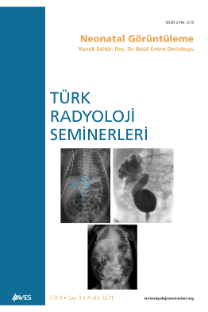 Türk Radyoloji Seminerleri-Cover