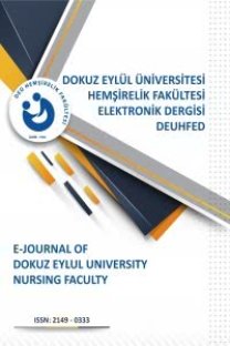 Dokuz Eylül Üniversitesi Hemşirelik Fakültesi Elektronik Dergisi-Cover