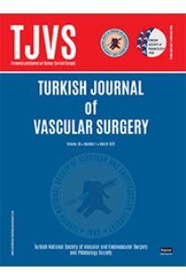 Turkish journal of vascular surgery-Cover